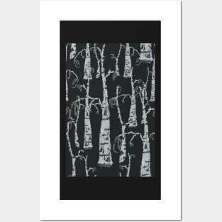 Birch Trees in the Winter Time Posters and Art